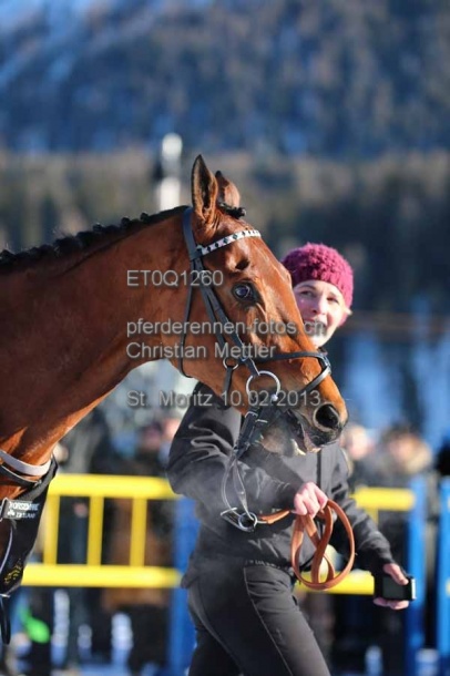 ET0Q1260 prot